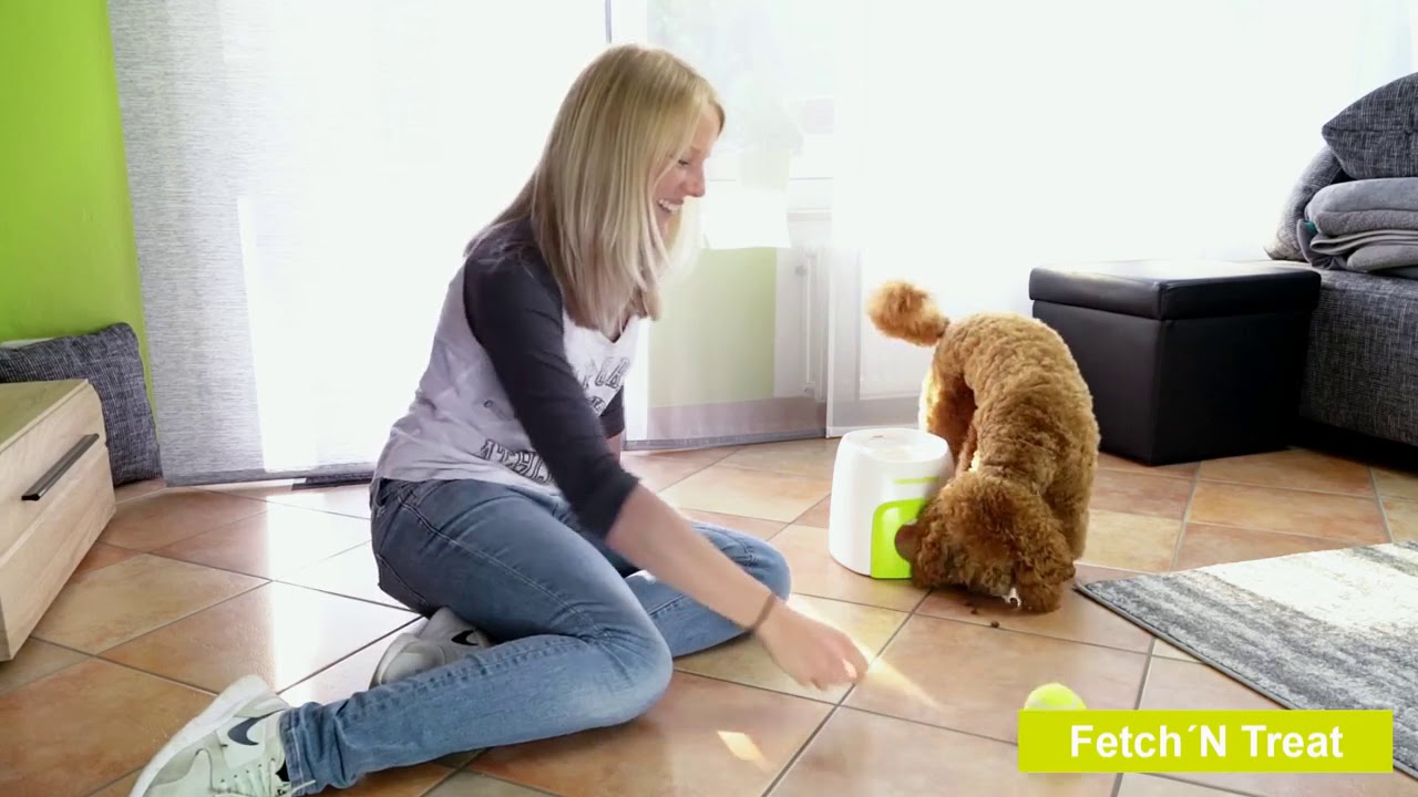 Distributeur de Friandises + Balle Fetch'N'Treat – AFP
