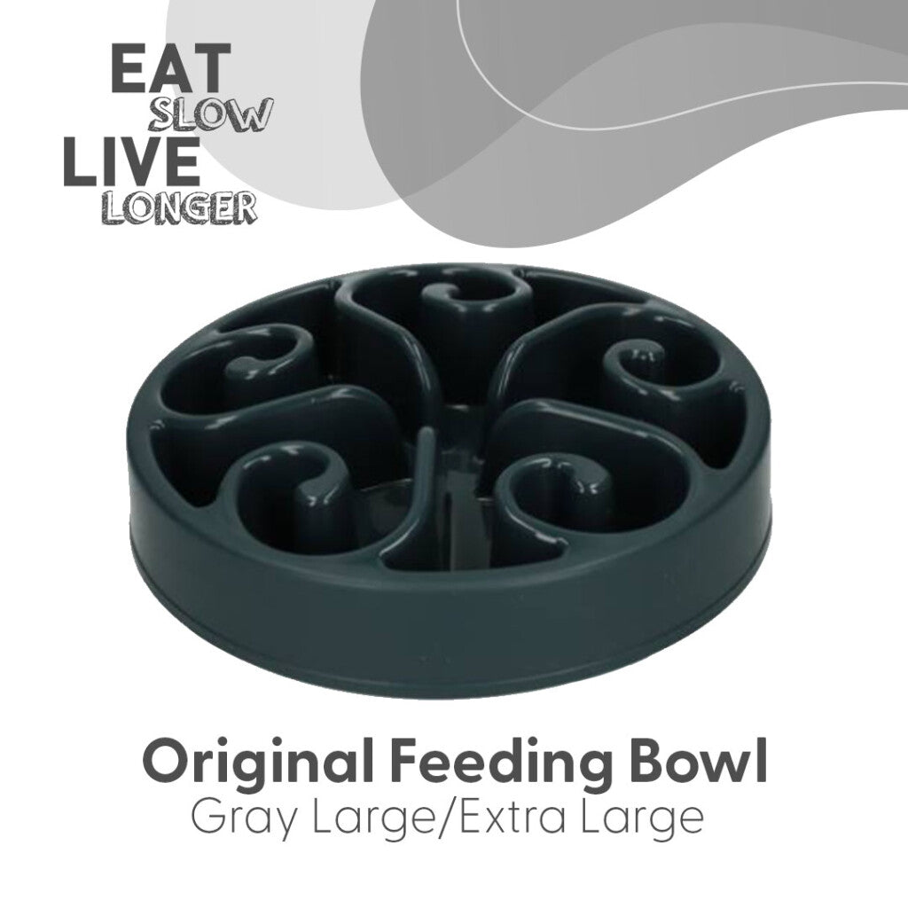 Gamelle Anti-Glouton Labyrinthe Original — Eat Slow Live Longer