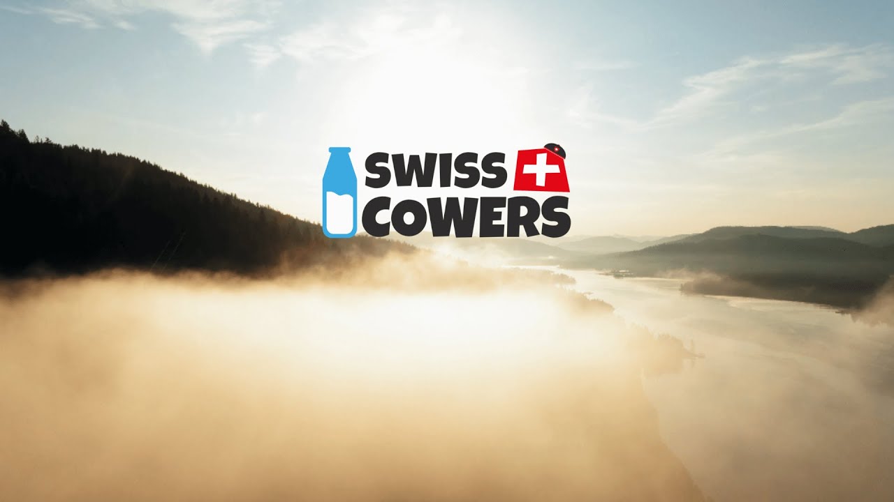 Barres de Fromage de Suisse Naturelles Original S – SwissCowers