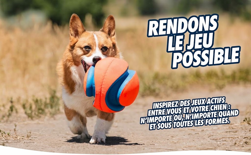 Ballon Sonore « Kick Fetch » – Chuckit! Giggle