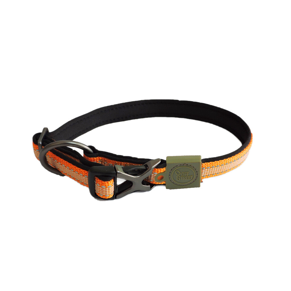 Collier pour chien Orange  -AFP