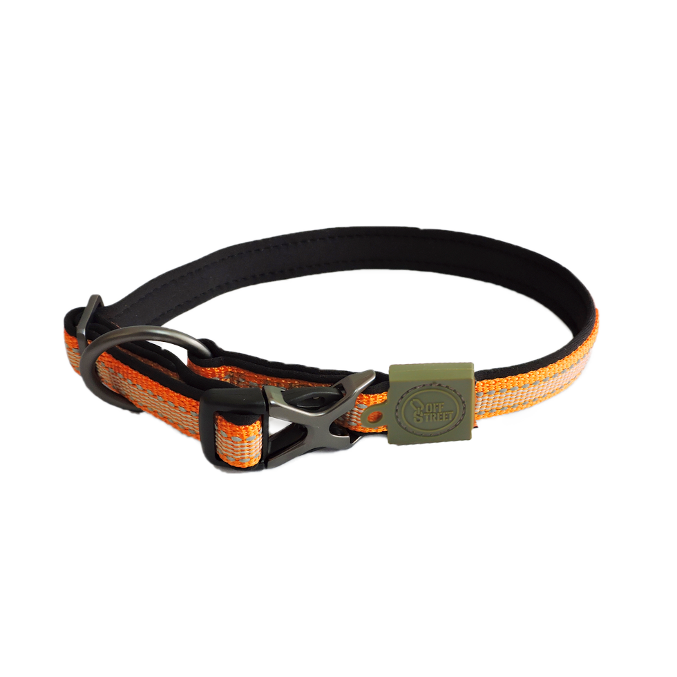 Collier pour chien Orange  -AFP