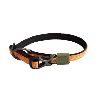 Collier pour chien Orange  -AFP