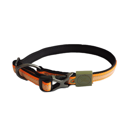 Collier pour chien Orange  -AFP