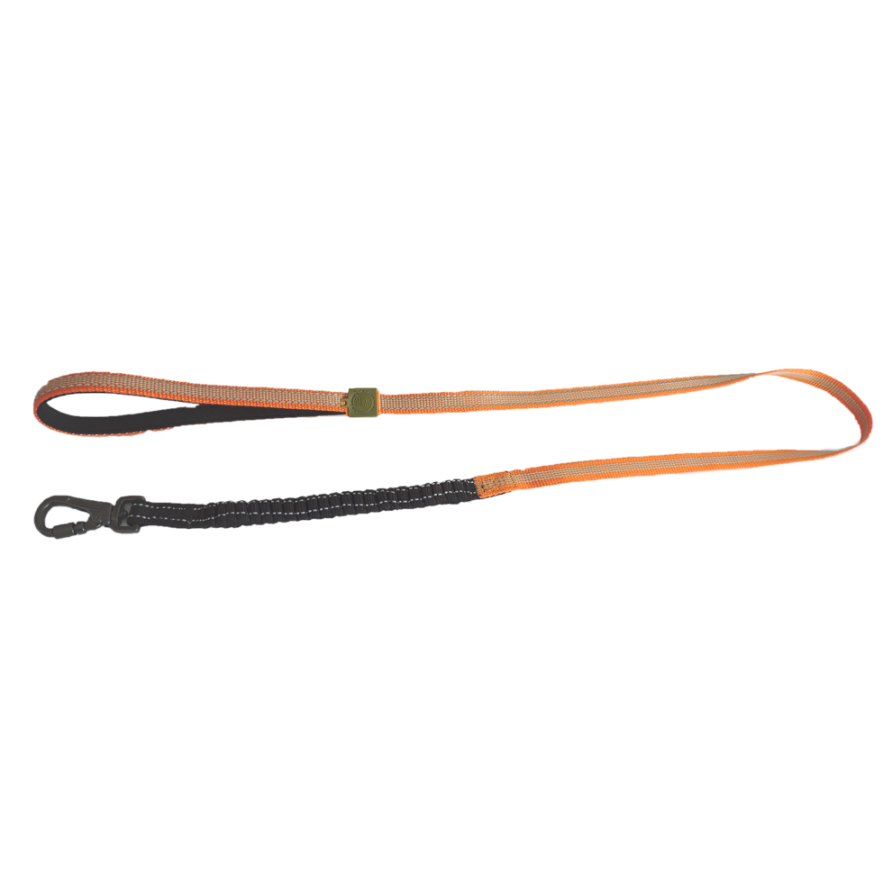 Laisse Confort – Orange AFP