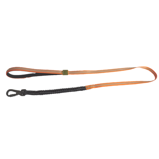 Laisse Confort – Orange AFP