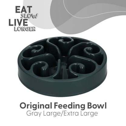 Gamelle Anti-Glouton Labyrinthe Original — Eat Slow Live Longer