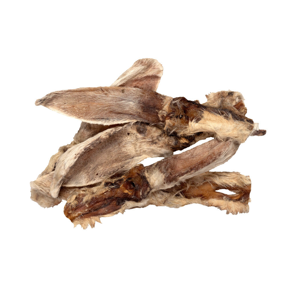 Oreilles de Lapin Séchées avec Poils (80 g) – Braaaf Butchery