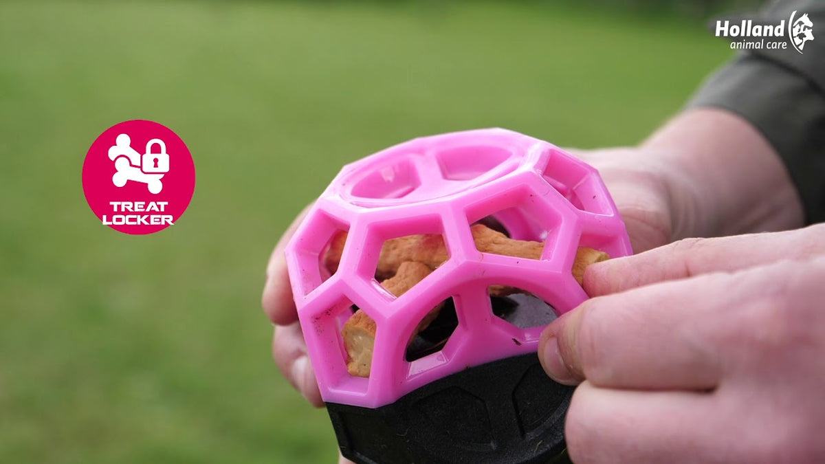 Balle Interactive Distributrice de Friandises – Dog Comets Moonstone
