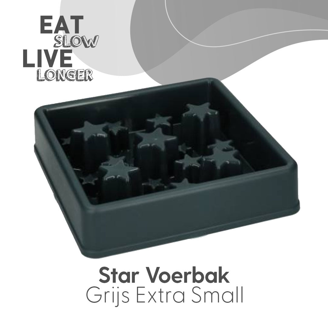 Gamelle Anti-Glouton Étoiles Star — Eat Slow Live Longer