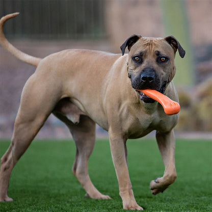 Os Flexible & Ultra-Résistant Jolly Bone – Jolly Pets