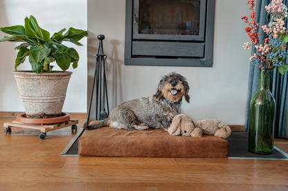 Matelas Orthopédique à Mémoire de Forme Mellow — Let's Sleep