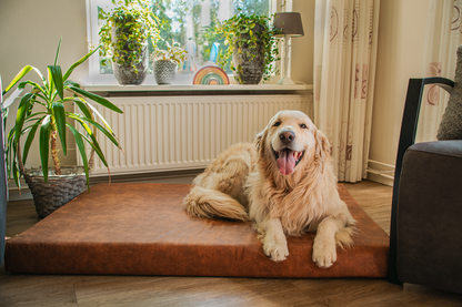 Matelas Orthopédique à Mémoire de Forme Mellow — Let's Sleep