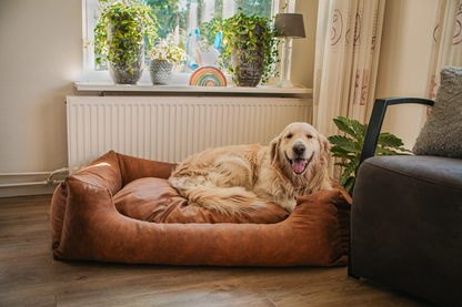 Panier pour Chien 2-en-1 en Suédine Sweet Dreams — Let's Sleep