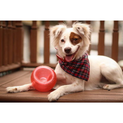 Jouet Interactif Distrib de Friandises - Outward Hound