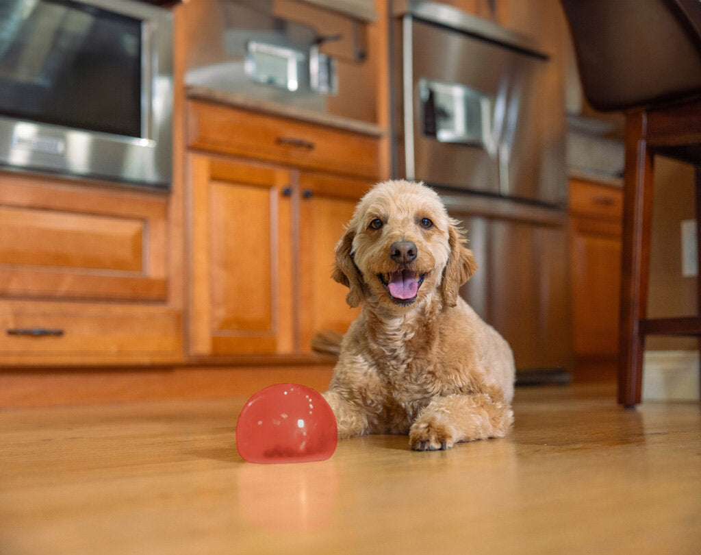 Jouet Interactif Distrib de Friandises - Outward Hound