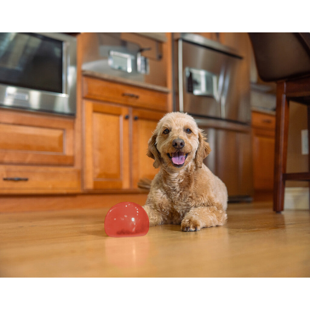 Jouet Interactif Distrib de Friandises - Outward Hound