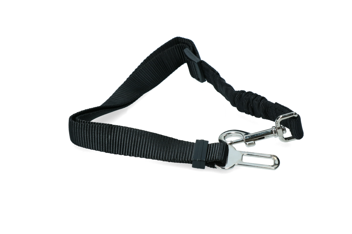 Ceinture de Sécurité Voiture pour Chien – Attache Universelle avec Amortisseur Élastique (60 - 100 cm)