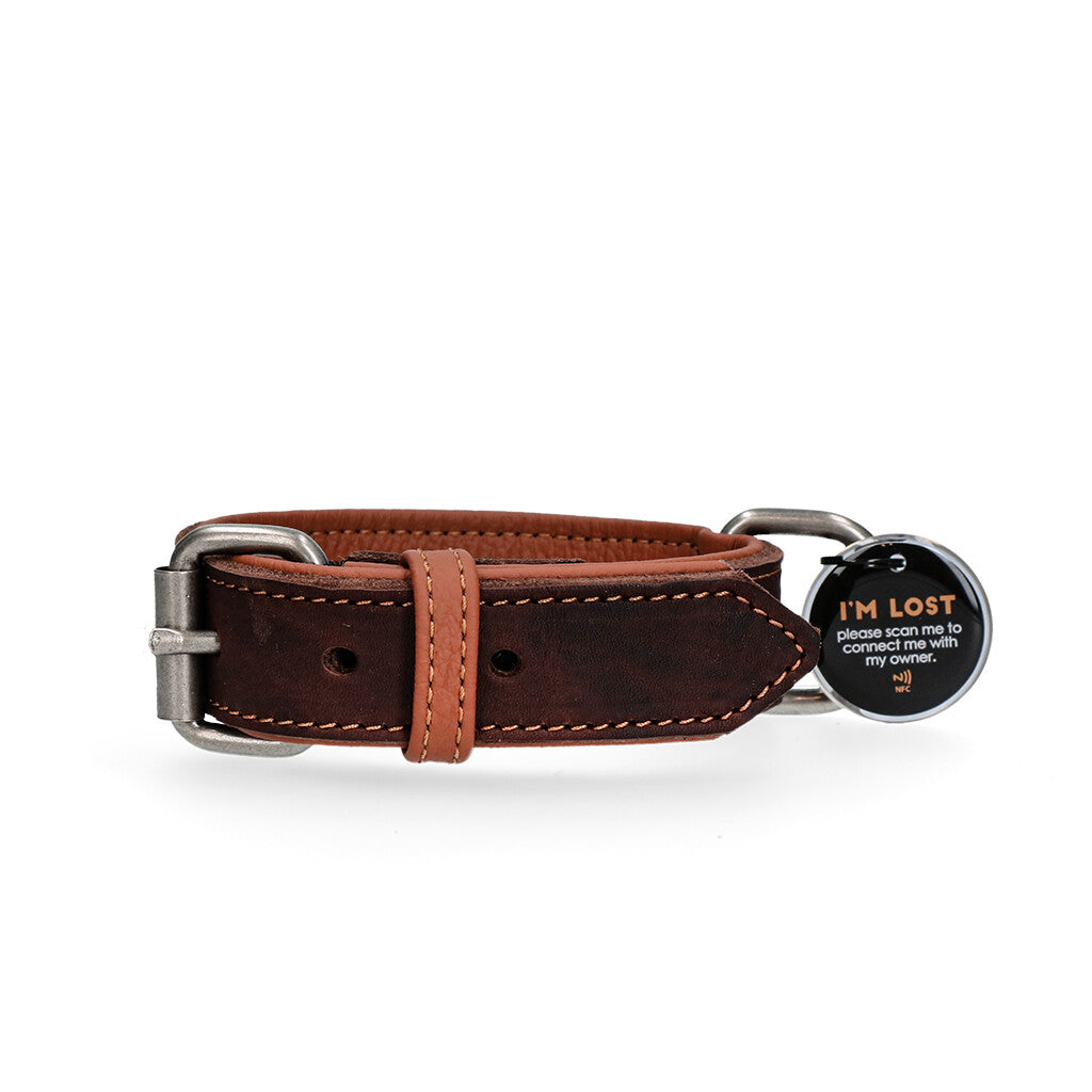 Collier en Cuir Supérieur Connecté – Spotted! Pro