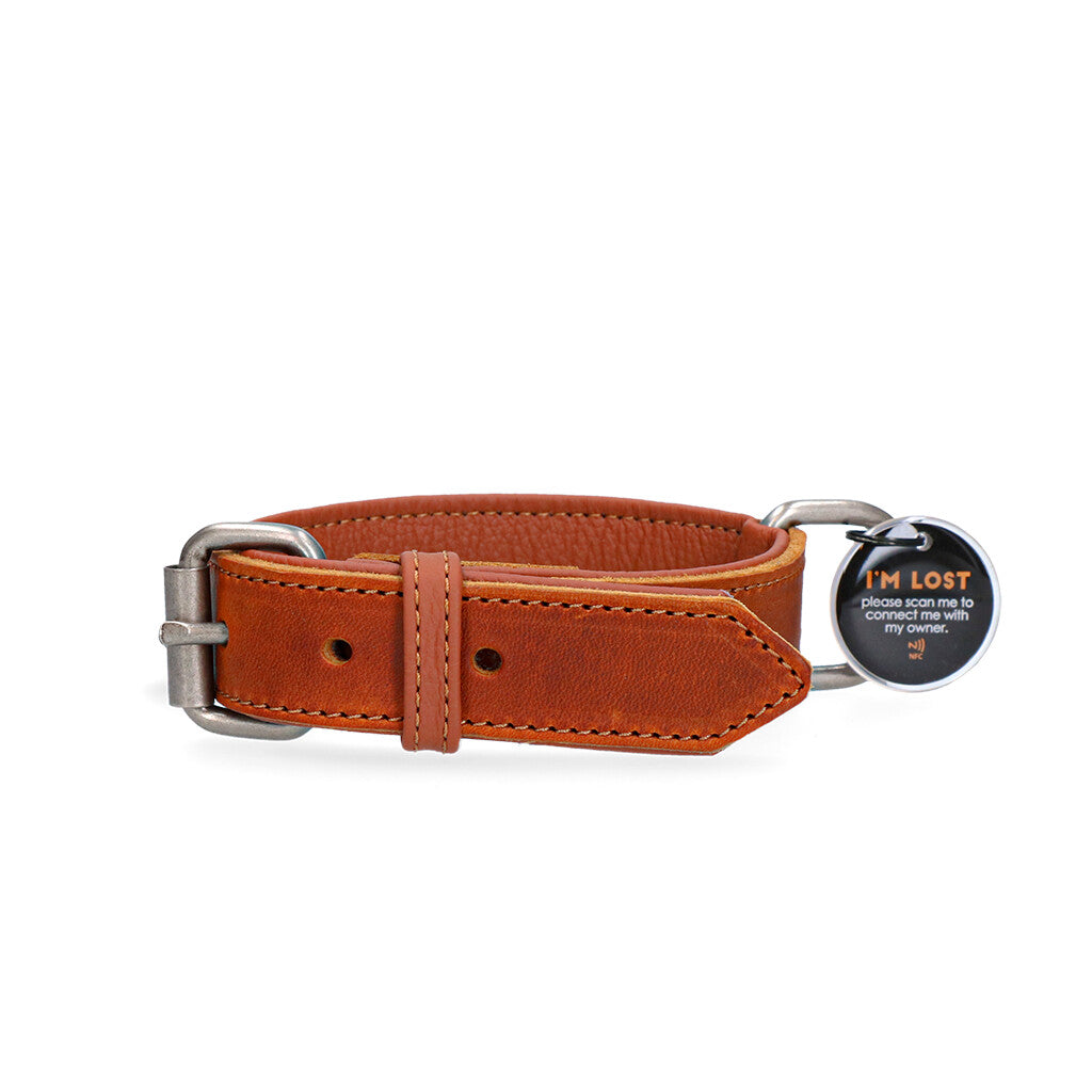 Collier en Cuir Supérieur Connecté – Spotted! Pro