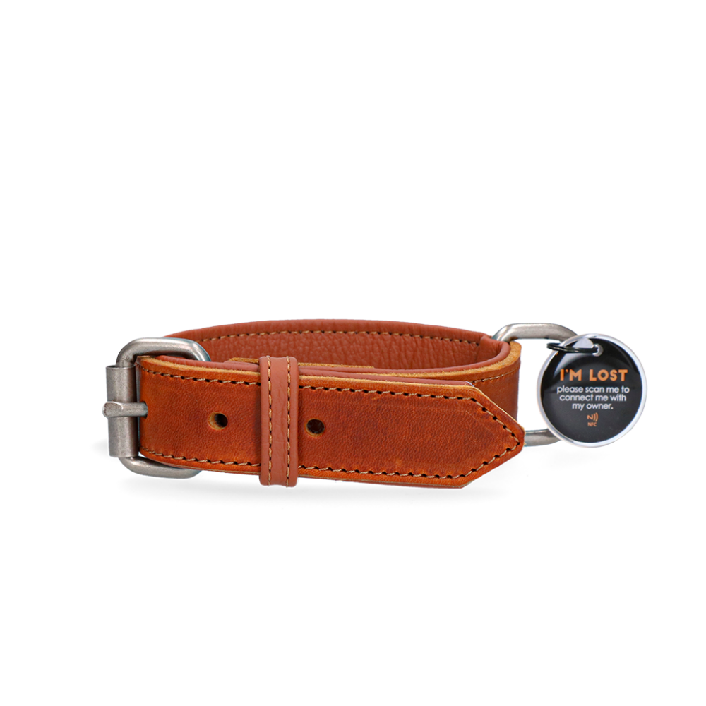 Collier en Cuir Supérieur Connecté – Spotted! Pro