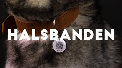 Collier en Cuir Supérieur Connecté – Spotted! Pro