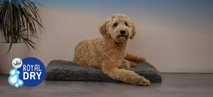 Tapis Matelassé Ultra-Absorbant en Microfibre — Royal Dry Pillow